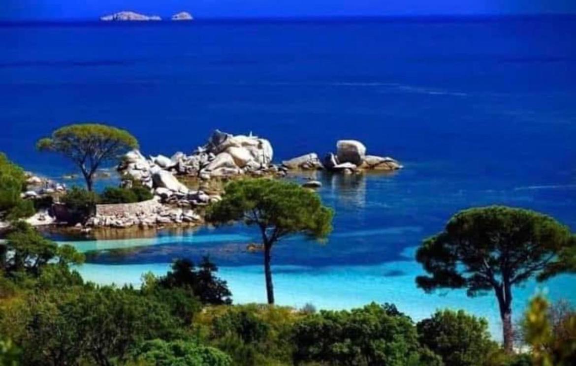 Villa Le Corail Rouge Corse Lecci Exterior photo